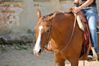 /album/fotogaleria2/a110901-cifer-146-jpg1/
